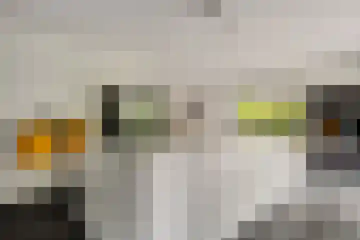 Ruiversdam 18 Hierden thumbnail 19