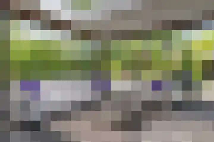 Ruiversdam 18 Hierden thumbnail 20