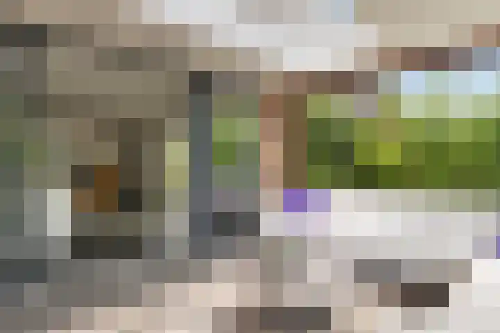 Ruiversdam 18 Hierden thumbnail 21