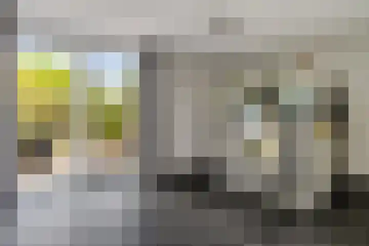 Ruiversdam 18 Hierden thumbnail 22