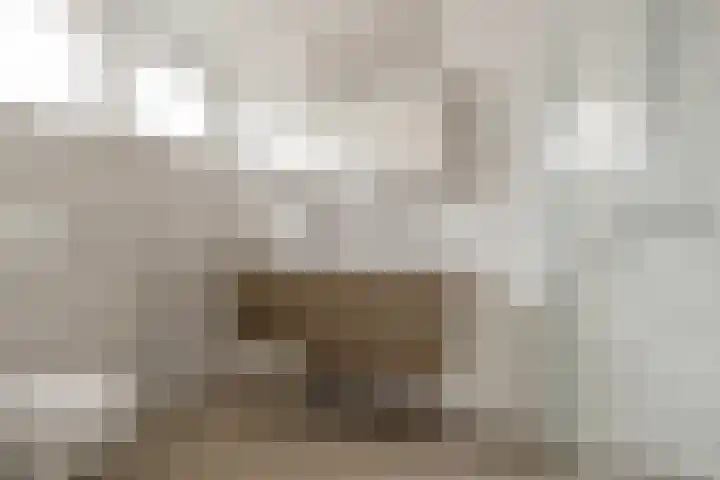 Ruiversdam 18 Hierden thumbnail 23