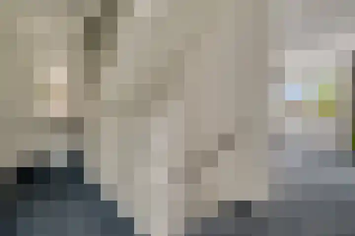 Ruiversdam 18 Hierden thumbnail 24
