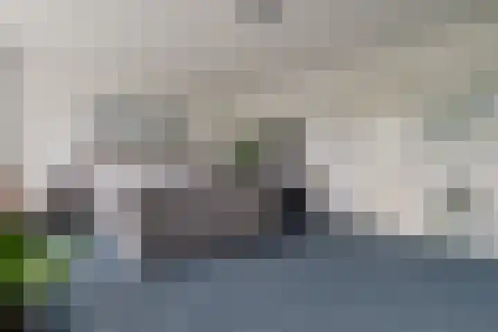 Ruiversdam 18 Hierden thumbnail 25