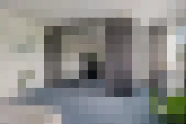 Ruiversdam 18 Hierden thumbnail 27