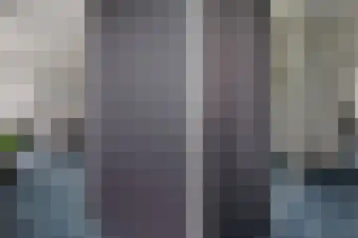 Ruiversdam 18 Hierden thumbnail 28