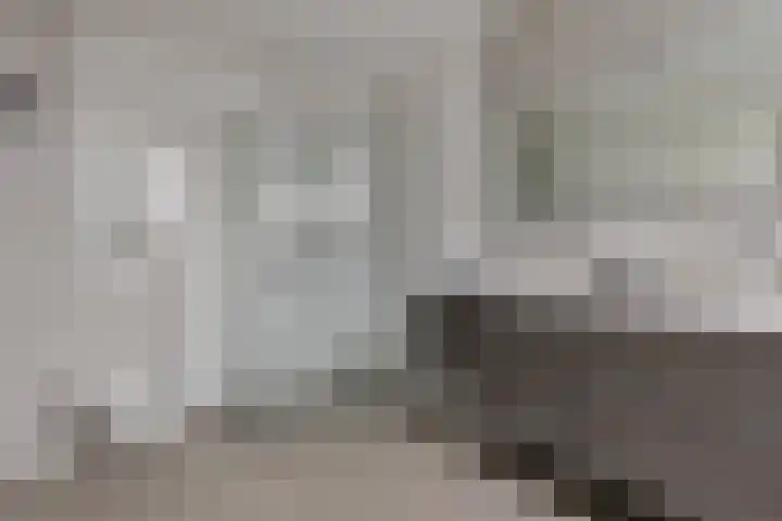 Ruiversdam 18 Hierden thumbnail 32