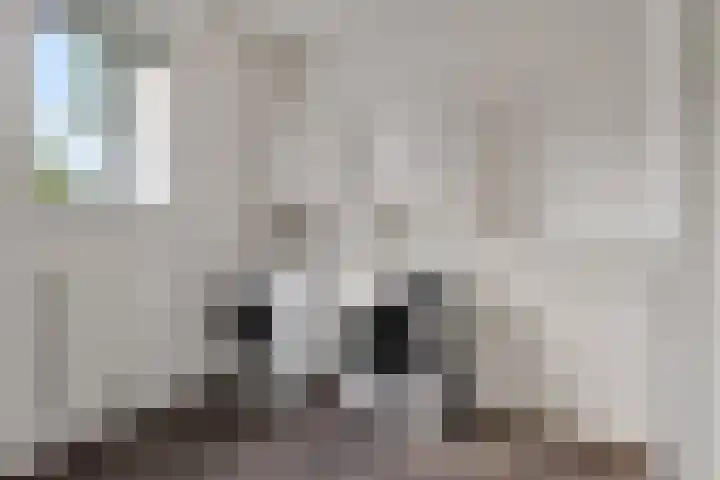 Ruiversdam 18 Hierden thumbnail 33
