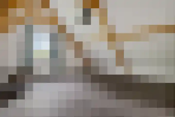 Ruiversdam 18 Hierden thumbnail 35