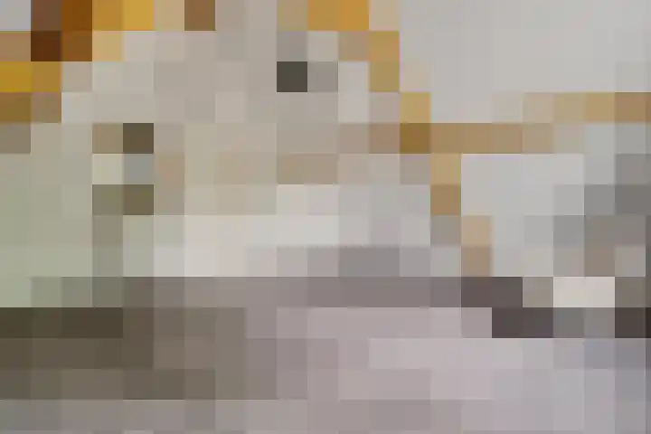 Ruiversdam 18 Hierden thumbnail 36