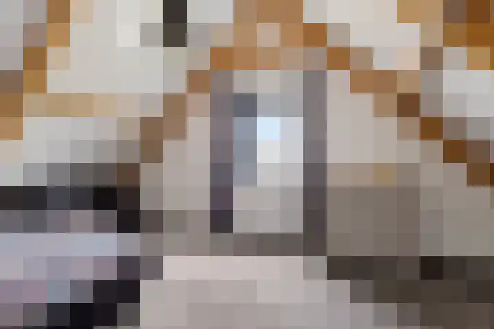 Ruiversdam 18 Hierden thumbnail 38