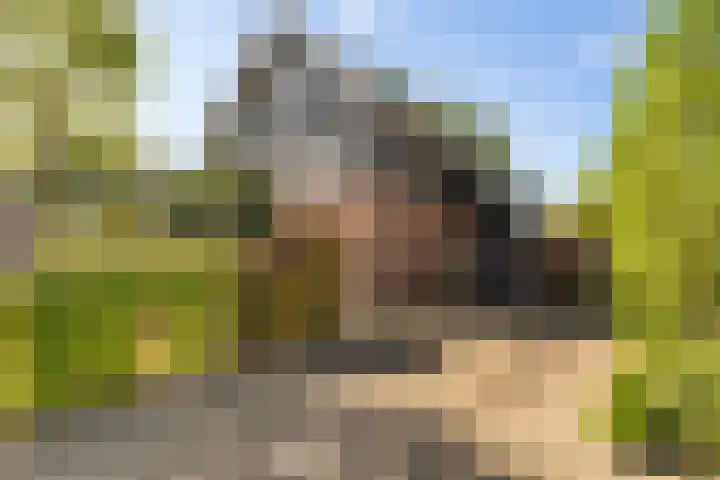 Ruiversdam 18 Hierden thumbnail 4