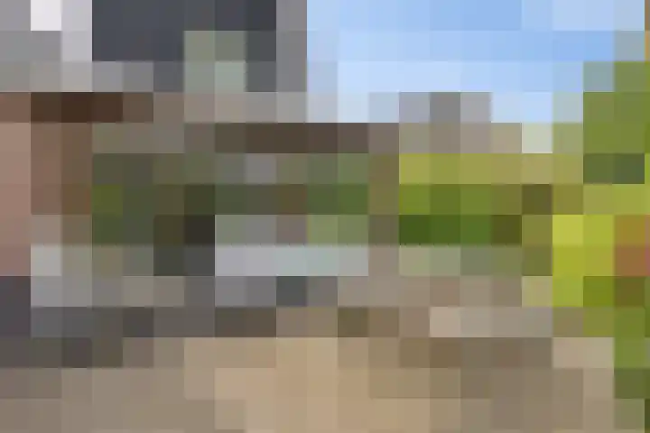 Ruiversdam 18 Hierden thumbnail 40