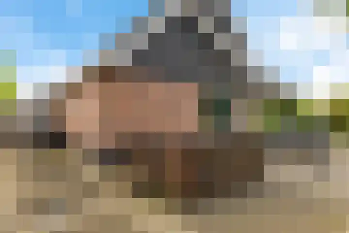 Ruiversdam 18 Hierden thumbnail 41