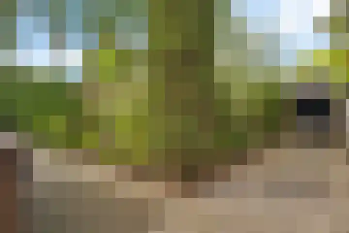 Ruiversdam 18 Hierden thumbnail 42