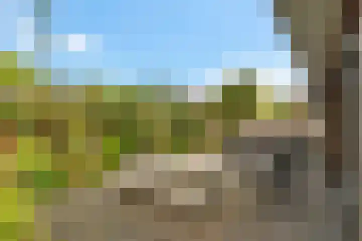 Ruiversdam 18 Hierden thumbnail 43