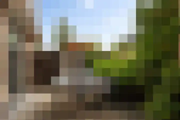 Ruiversdam 18 Hierden thumbnail 45