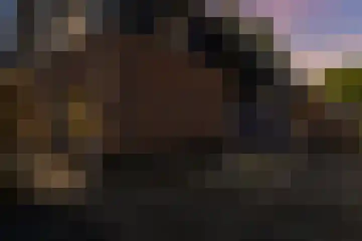 Ruiversdam 18 Hierden thumbnail 48