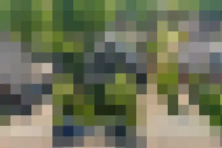 Ruiversdam 18 Hierden thumbnail 49