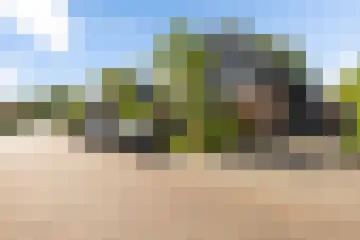Ruiversdam 18 Hierden thumbnail 5