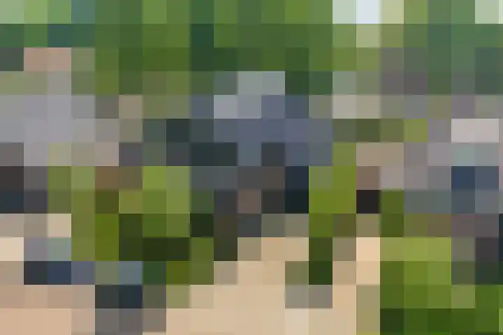 Ruiversdam 18 Hierden thumbnail 50