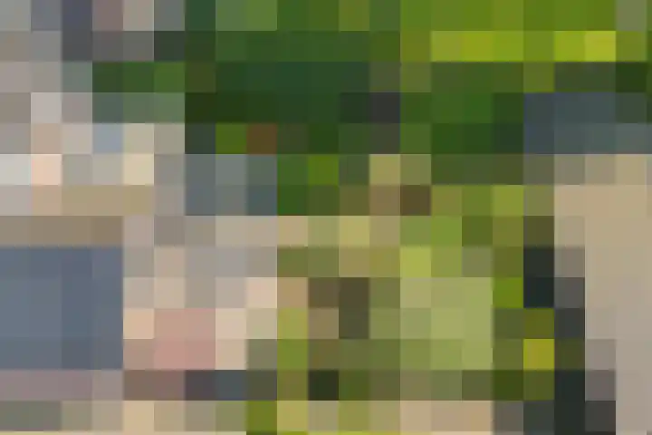 Ruiversdam 18 Hierden thumbnail 51