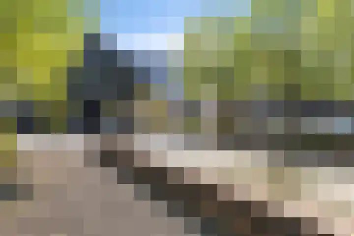 Ruiversdam 18 Hierden thumbnail 52