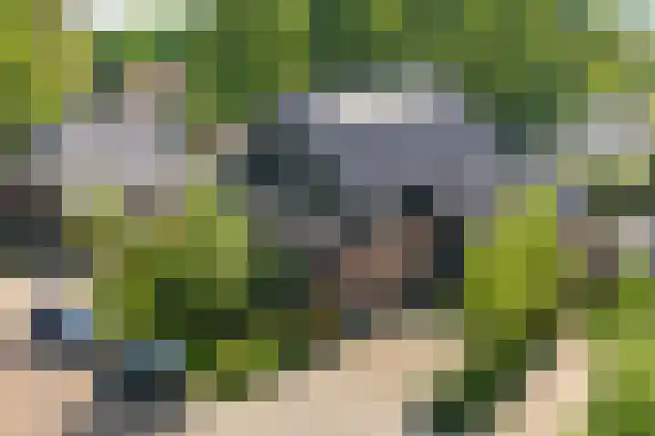 Ruiversdam 18 Hierden thumbnail 58