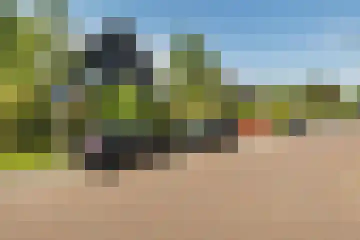 Ruiversdam 18 Hierden thumbnail 6