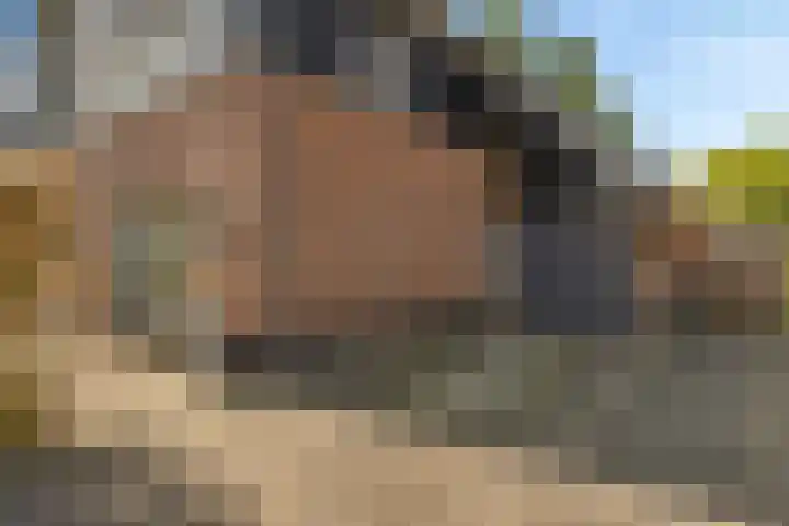 Ruiversdam 18 Hierden thumbnail 7