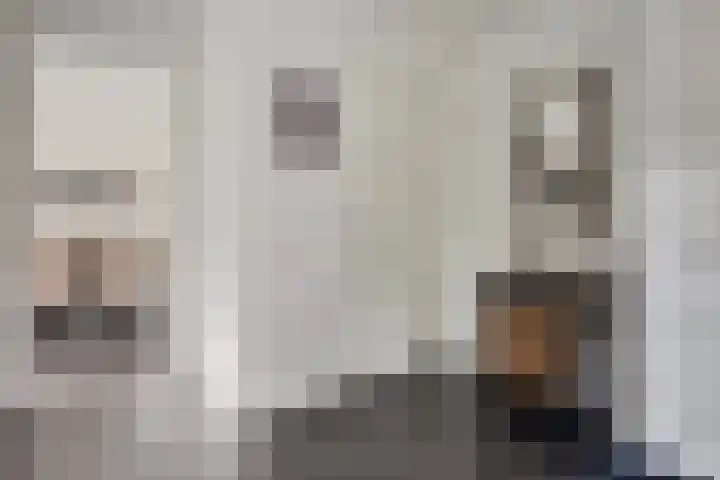 Ruiversdam 18 Hierden thumbnail 9