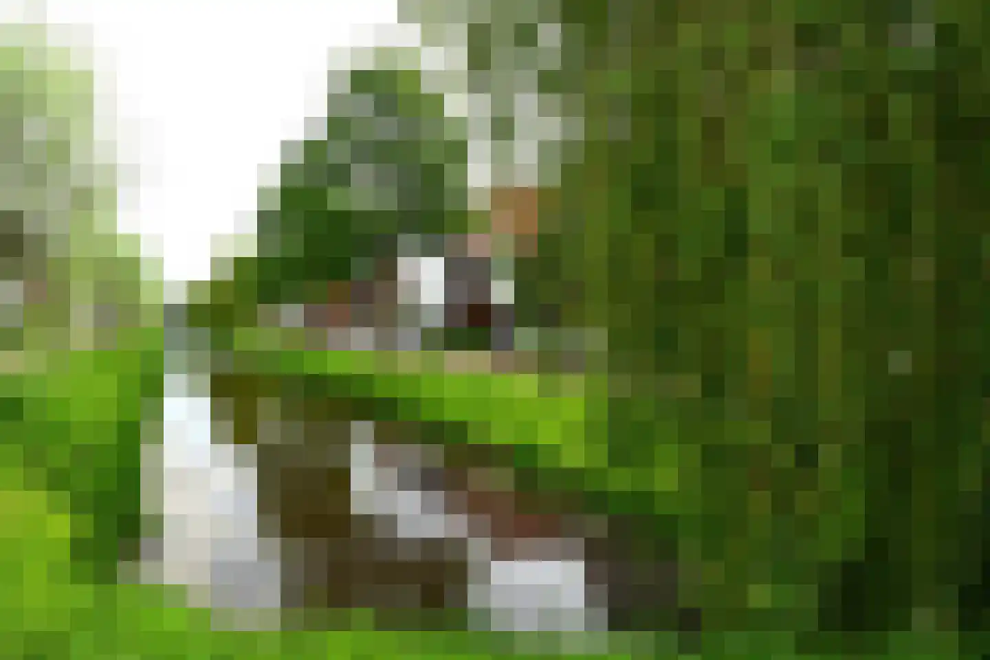 Ruizendaallaan 18 Eemnes thumbnail 28
