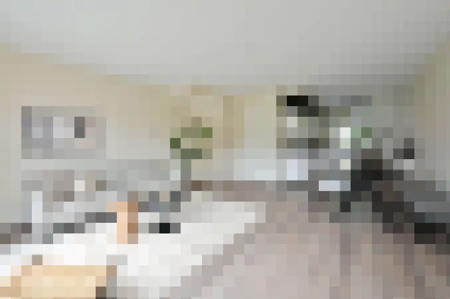 Ruizendaallaan 18 Eemnes thumbnail 8