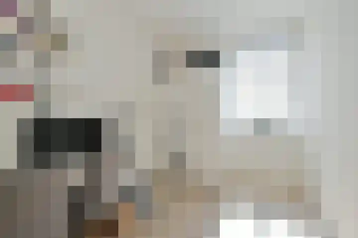 Ruizendaallaan 42 Eemnes thumbnail 6