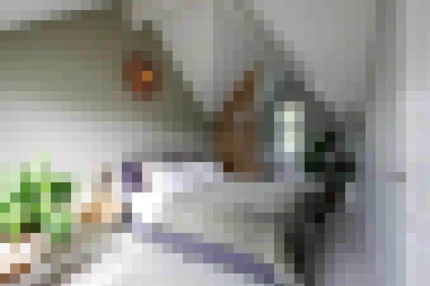 Ruizendaallaan 66 Eemnes thumbnail 22
