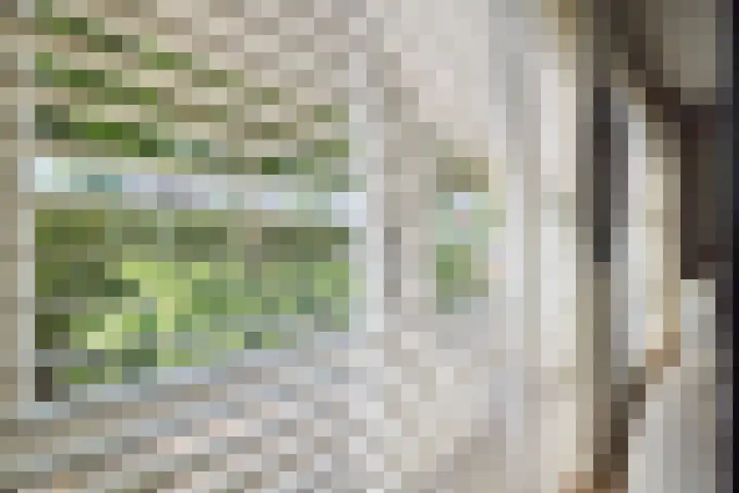 Ruizendaallaan 77 Eemnes thumbnail 17