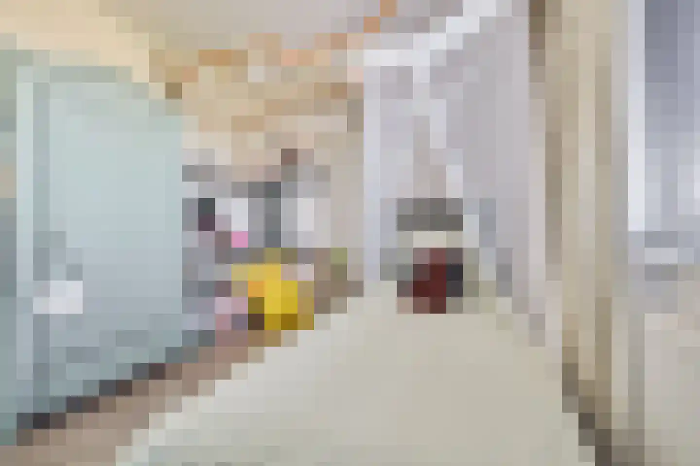 Ruizendaallaan 77 Eemnes thumbnail 30