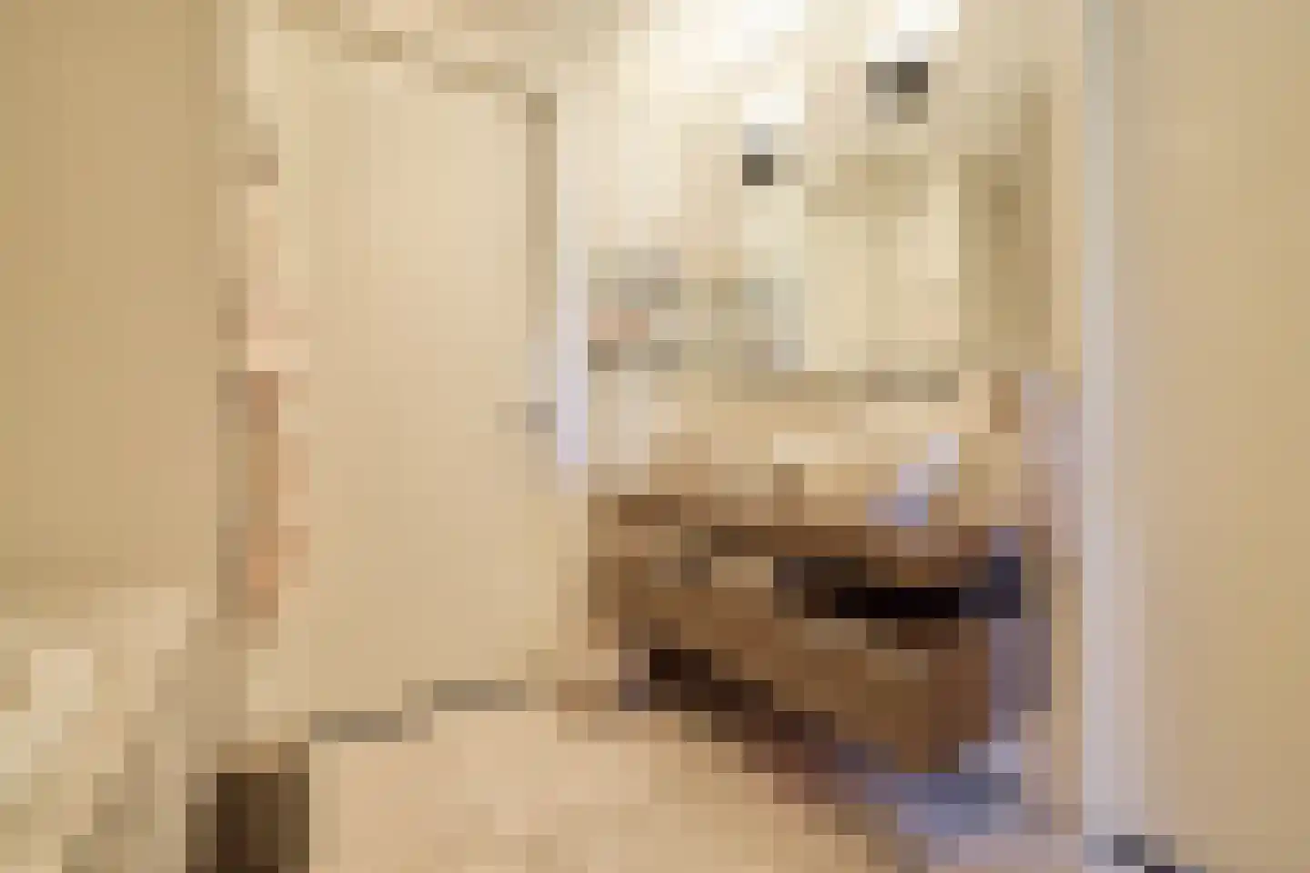 Ruizendaallaan 77 Eemnes thumbnail 36