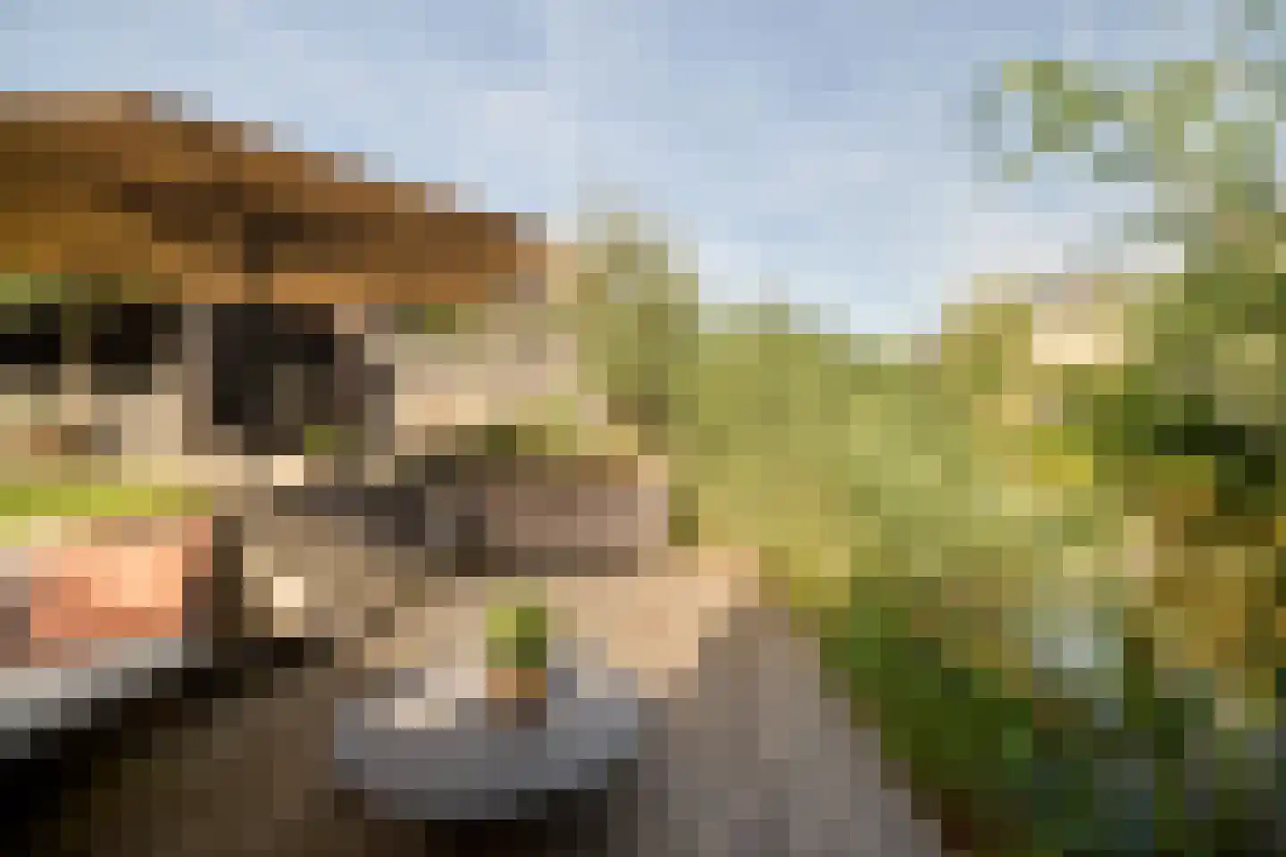 Ruizendaallaan 77 Eemnes thumbnail 4