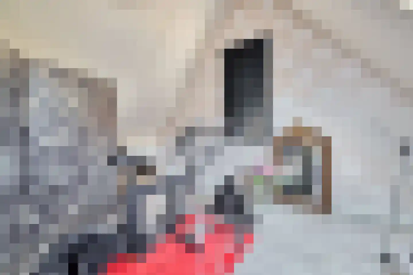 Ruizendaallaan 77 Eemnes thumbnail 47