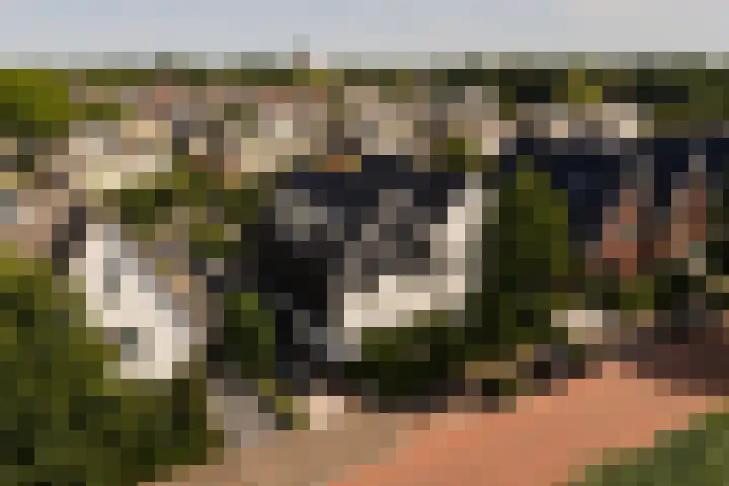 Ruizendaallaan 77 Eemnes thumbnail 5