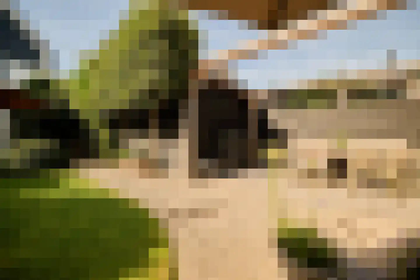Ruizendaallaan 77 Eemnes thumbnail 54