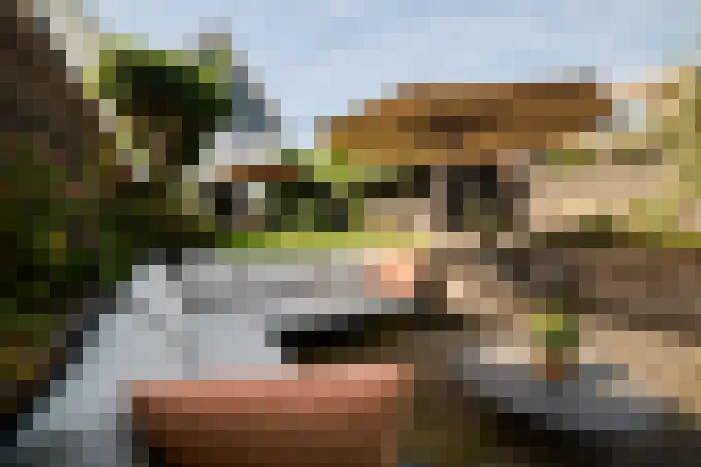 Ruizendaallaan 77 Eemnes thumbnail 56