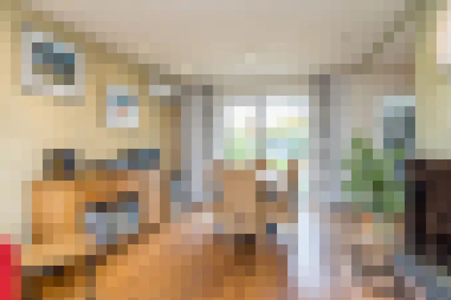 Rukkerweg 138 Kerkrade thumbnail 7