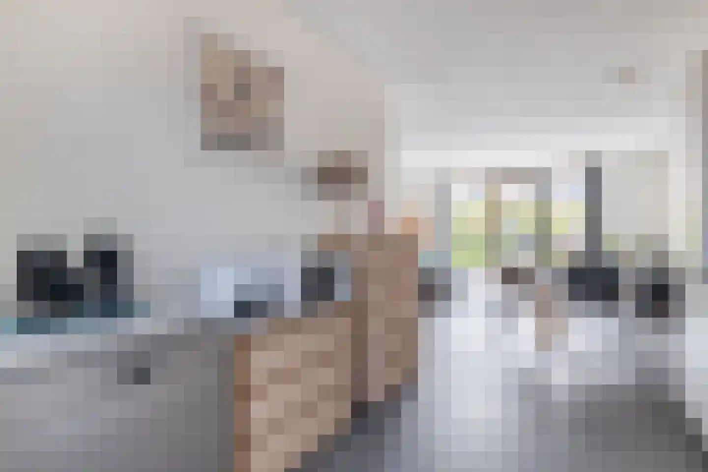 Rulakker 3 Duizel thumbnail 17