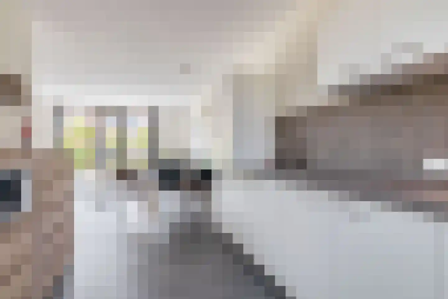 Rulakker 3 Duizel thumbnail 19
