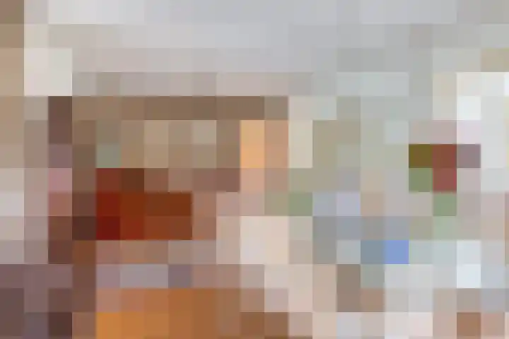 Rullen 14 Nuenen thumbnail 15