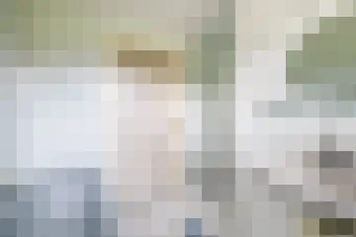 Rullen 14 Nuenen thumbnail 25