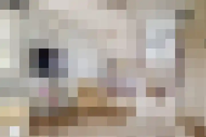 Rullen 14 Nuenen thumbnail 31