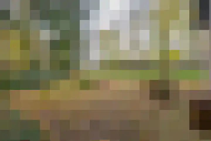 Rullen 14 Nuenen thumbnail 41