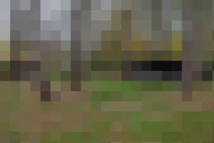 Rullen 14 Nuenen thumbnail 43